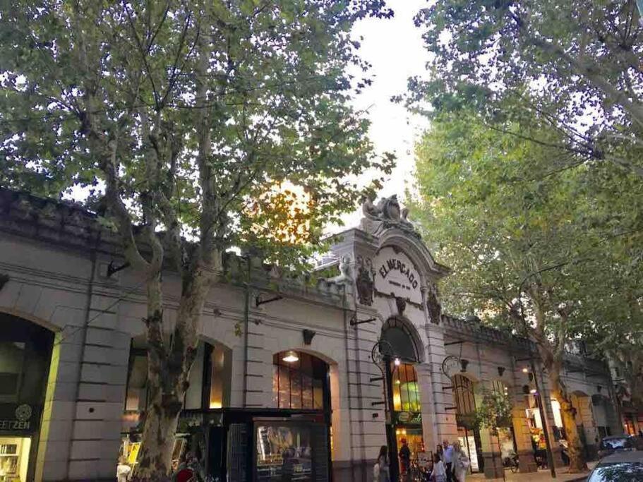 Apartamento New In Recoleta
